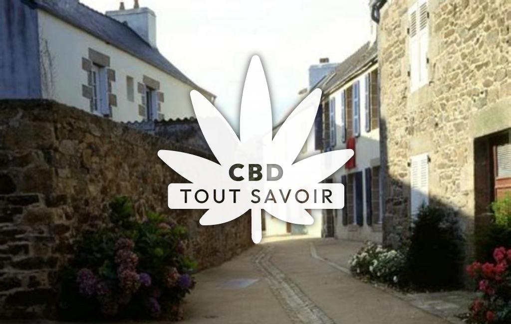 Village à Plourin-les-Morlaix avec feuille Cannabis CBD