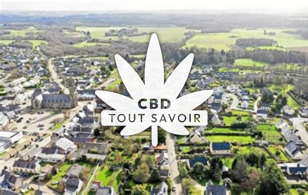 Village à Plouigneau avec feuille Cannabis CBD