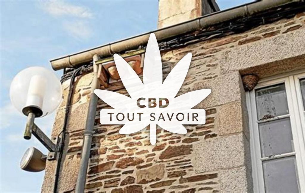 Village à Plouegat-Guerand avec feuille Cannabis CBD