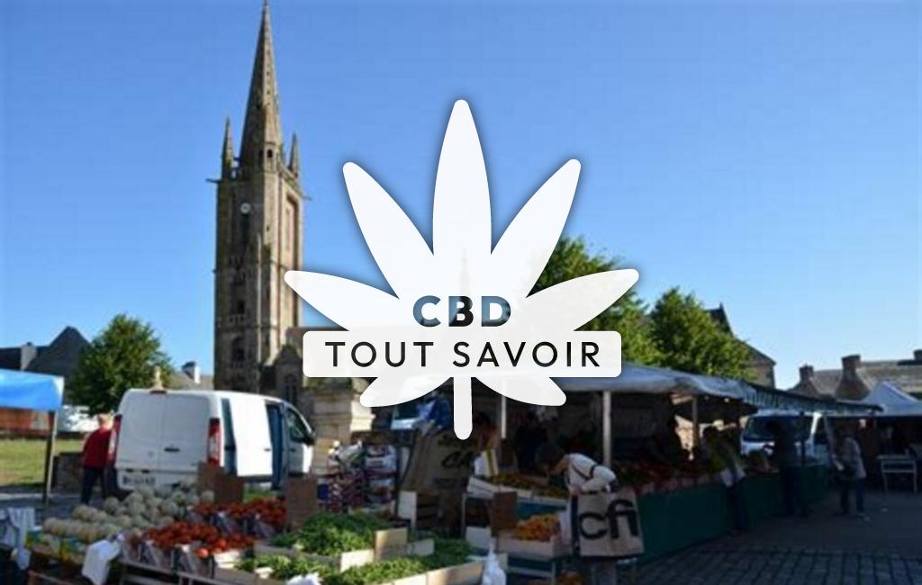 Village à Plougasnou avec feuille Cannabis CBD