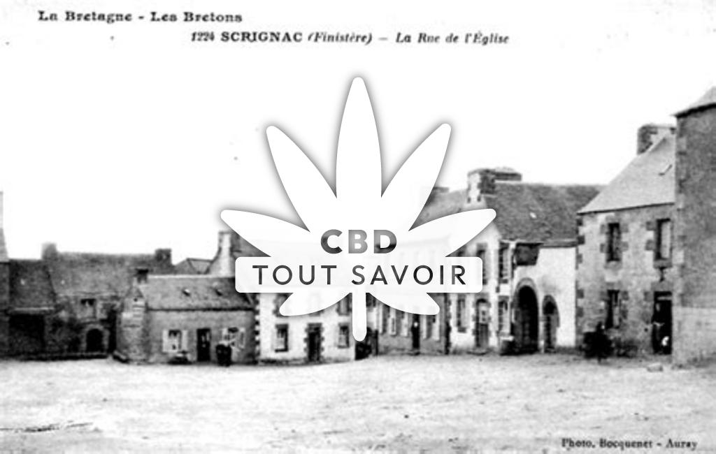 Village à Scrignac avec feuille Cannabis CBD