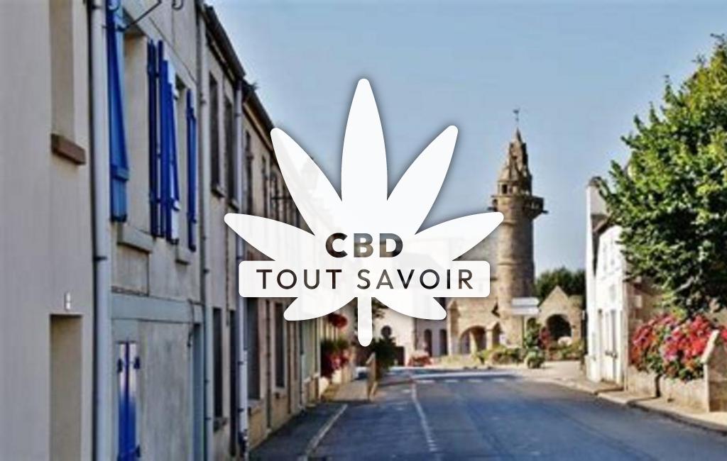 Village à Henvic avec feuille Cannabis CBD