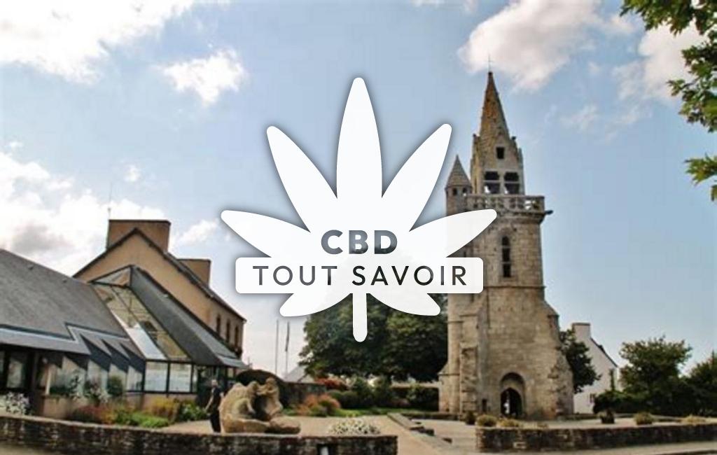 Village à Taule avec feuille Cannabis CBD