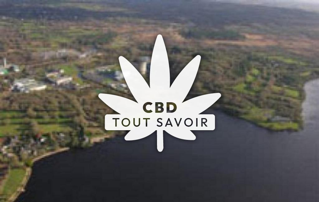 Village à Brennilis avec feuille Cannabis CBD