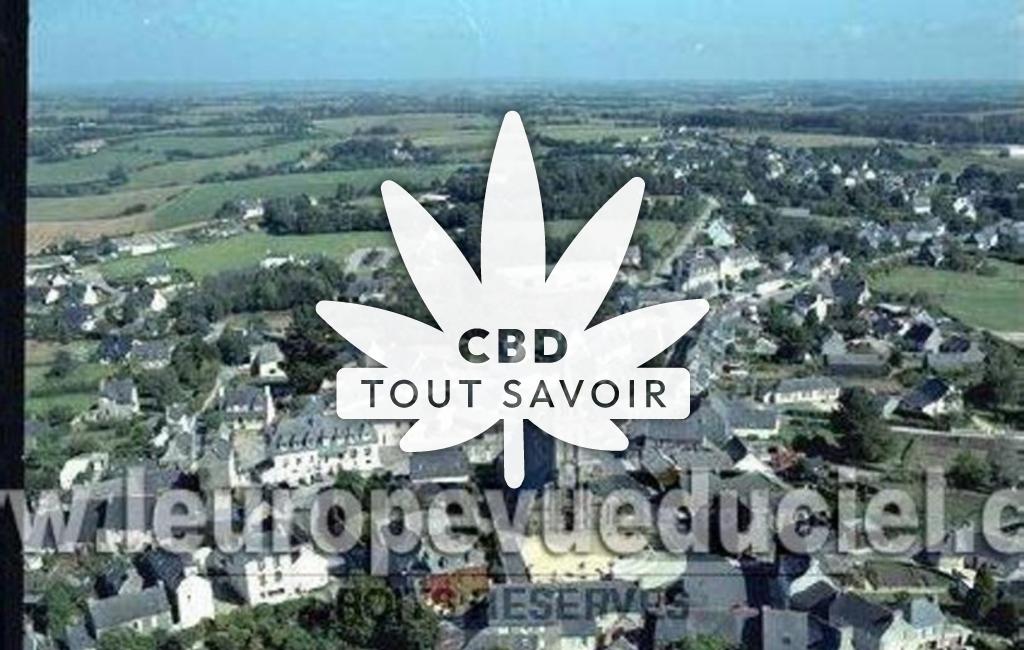 Village à Poullaouen avec feuille Cannabis CBD