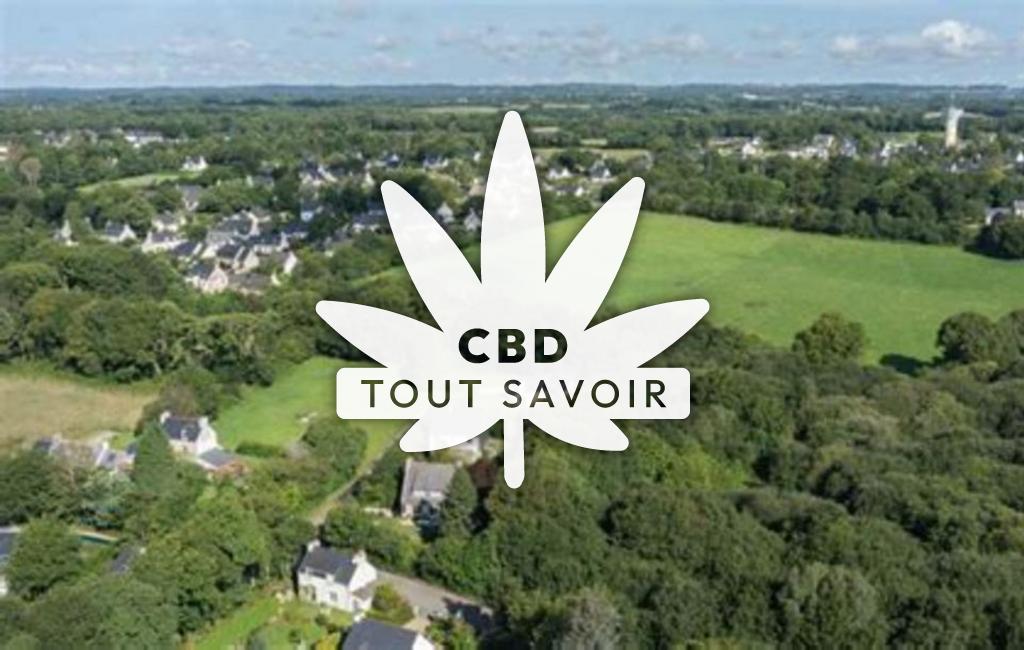 Village à Plomelin avec feuille Cannabis CBD