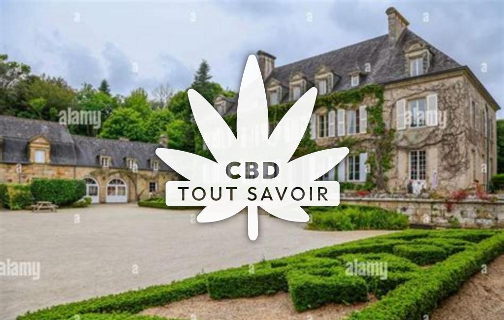 Village à PlogaSaintel-Saint-Germain avec feuille Cannabis CBD