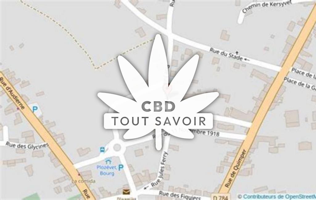 Village à Plozevet avec feuille Cannabis CBD
