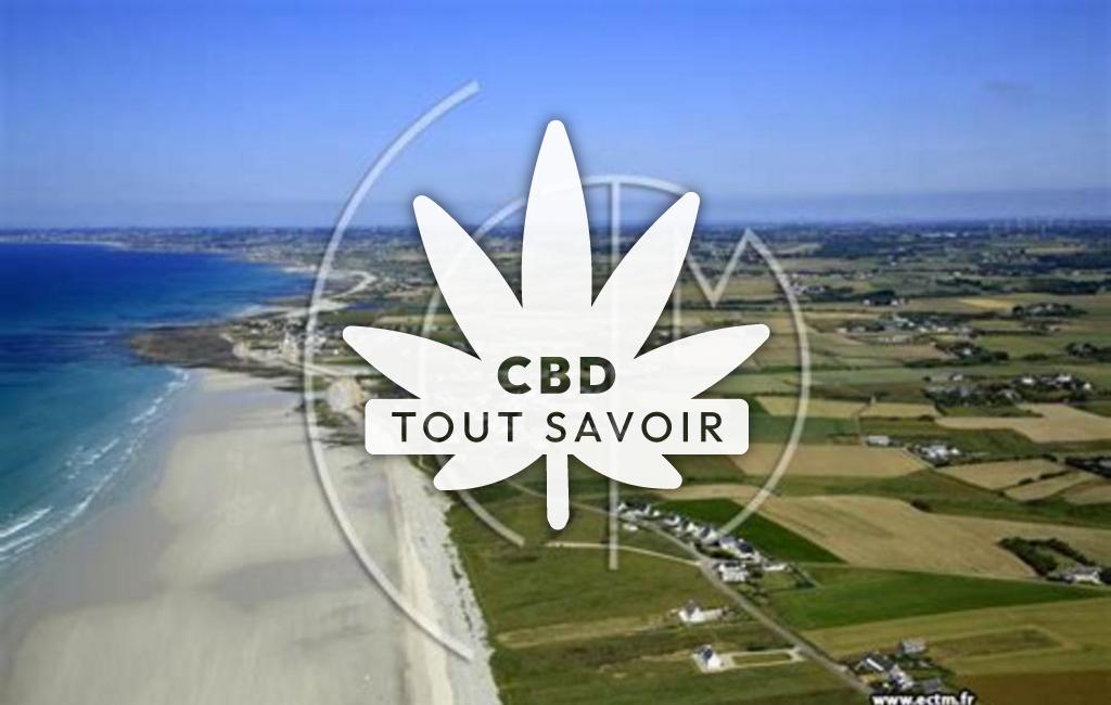 Village à Plovan avec feuille Cannabis CBD