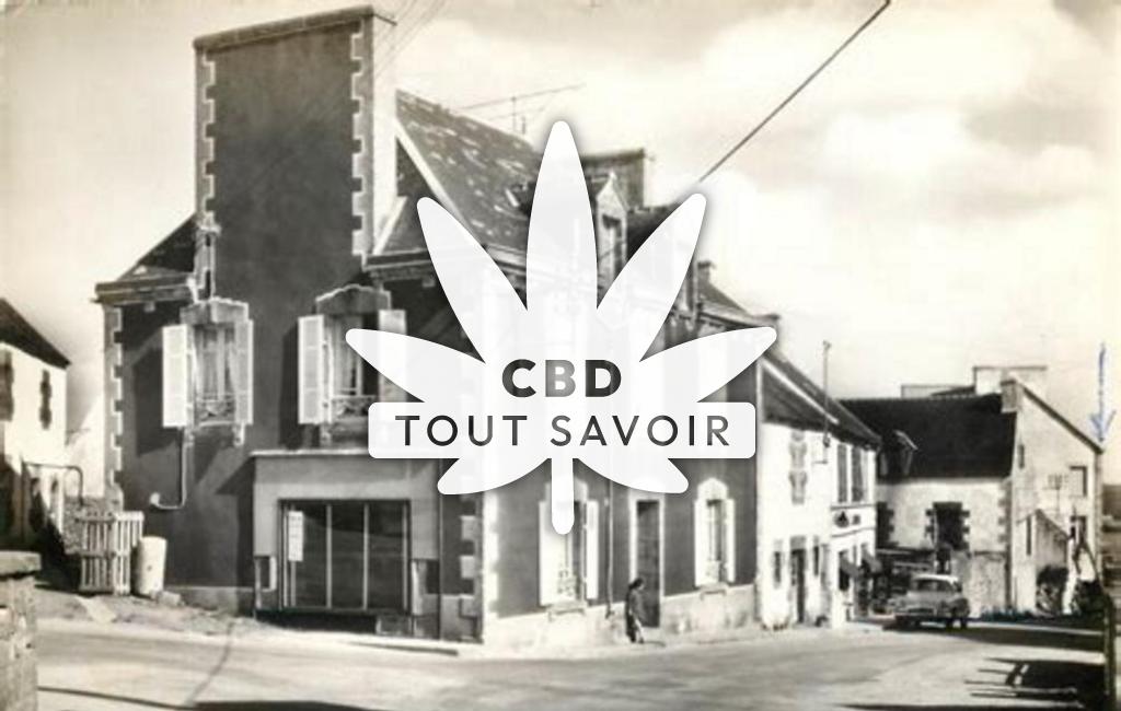 Village à Cleden-Cap-Sizun avec feuille Cannabis CBD