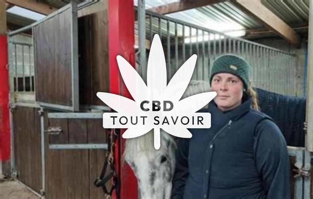 Village à Ploudiry avec feuille Cannabis CBD