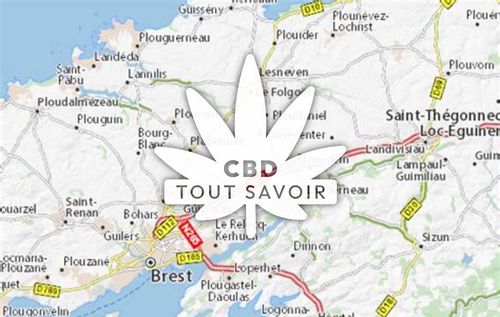 Village à Saint-Thonan avec feuille Cannabis CBD