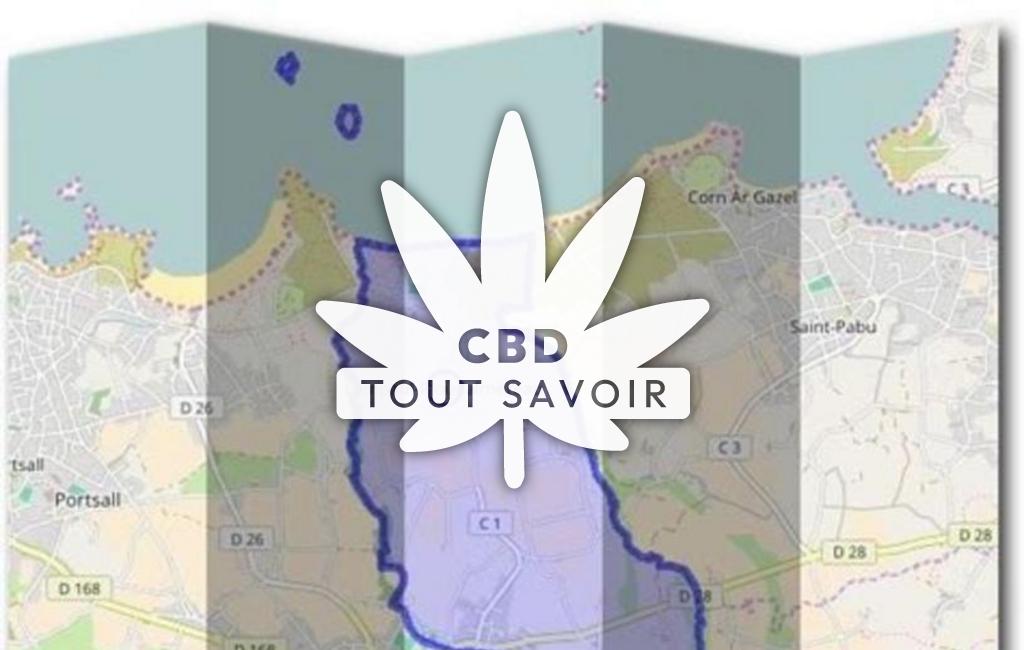 Village à Lampaul-Ploudalmezeau avec feuille Cannabis CBD