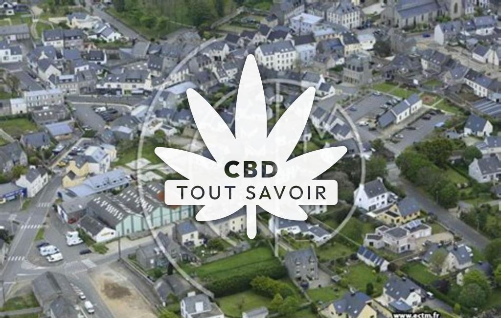 Village à Ploudalmezeau avec feuille Cannabis CBD