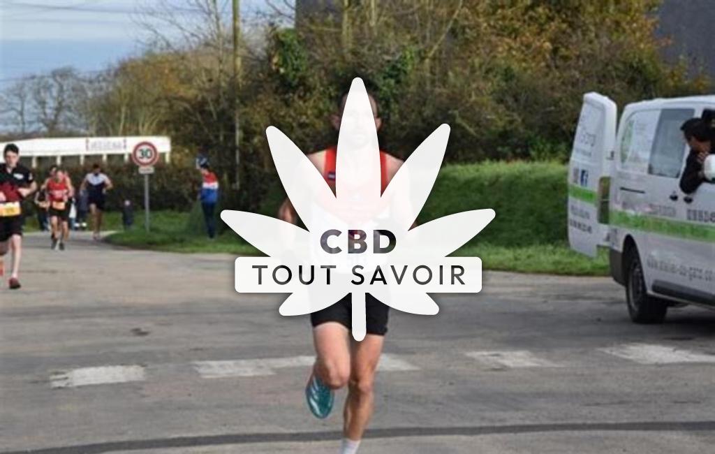 Village à Plouguin avec feuille Cannabis CBD