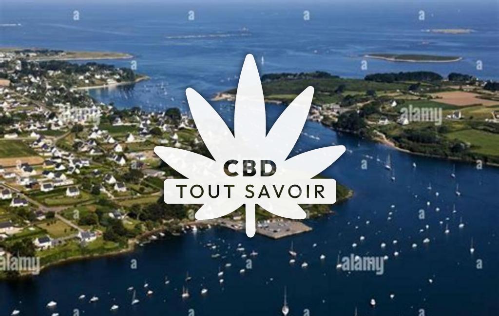 Village à Saint-Pabu avec feuille Cannabis CBD