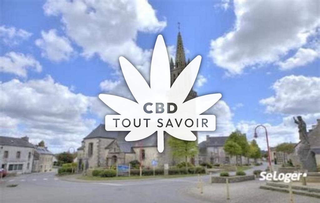 Village à Kersaint-Plabennec avec feuille Cannabis CBD