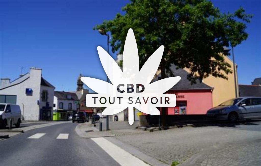 Village à Plabennec avec feuille Cannabis CBD