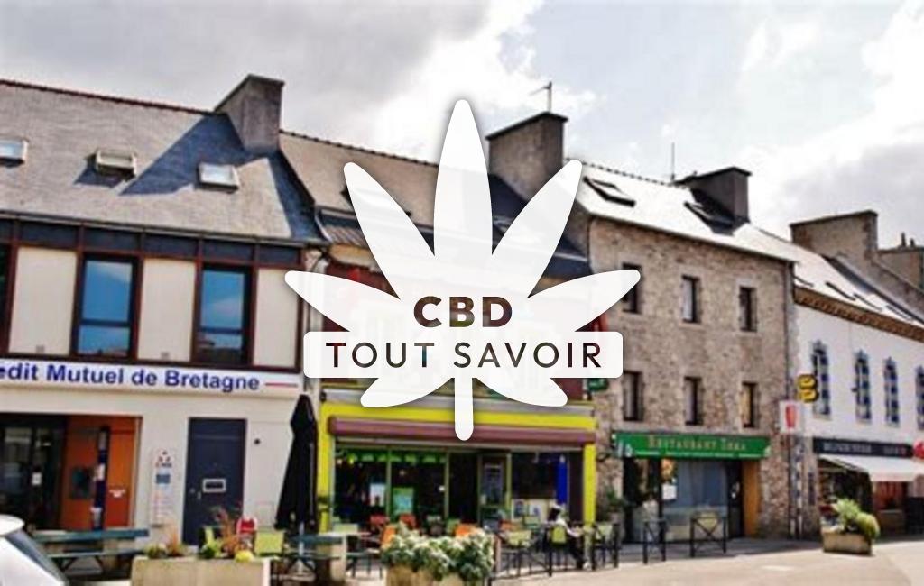 Village à Plouguerneau avec feuille Cannabis CBD