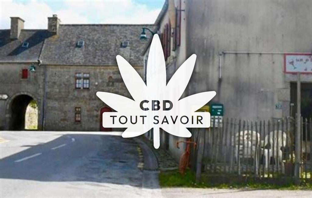 Village à Goulven avec feuille Cannabis CBD