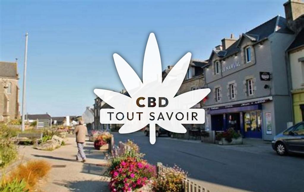 Village à Kerlouan avec feuille Cannabis CBD