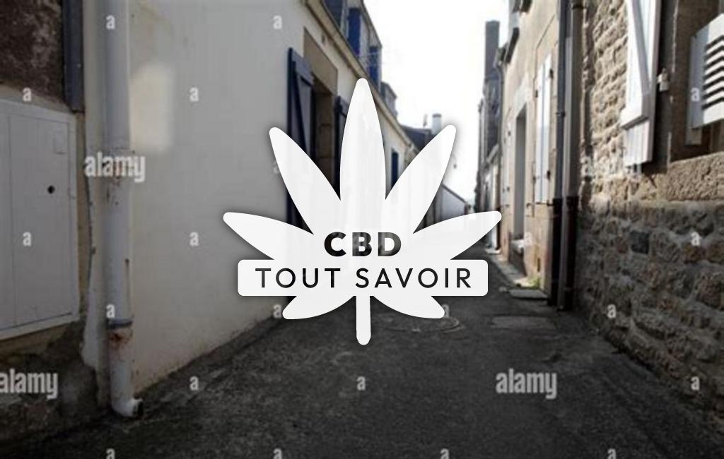 Village à Ile-Tudy avec feuille Cannabis CBD