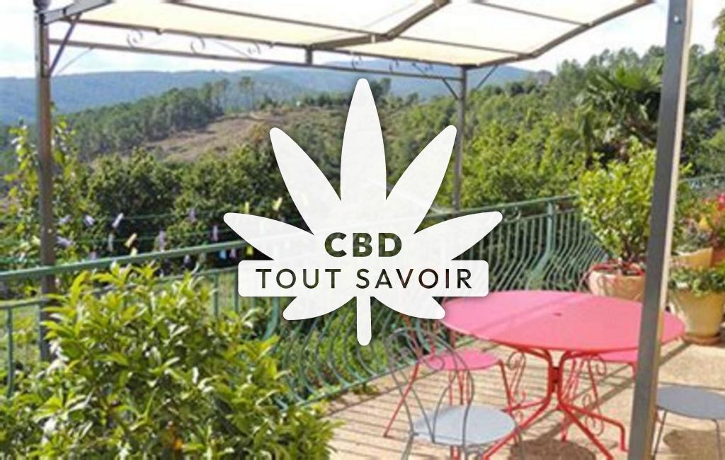 Village à Lamelouze avec feuille Cannabis CBD