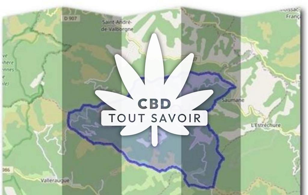Village à Les-Plantiers avec feuille Cannabis CBD