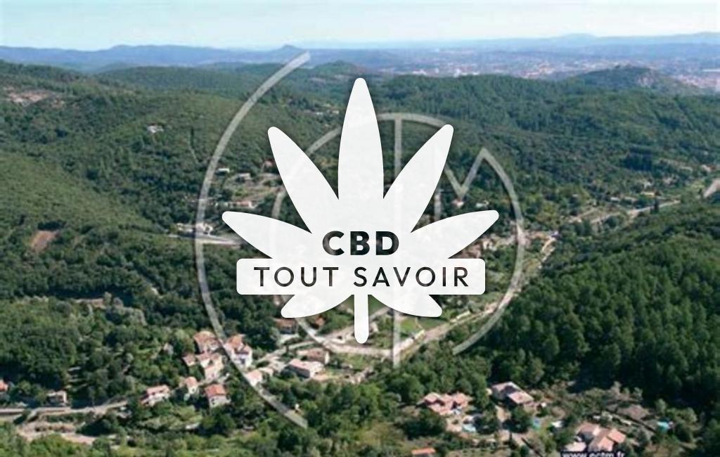 Village à Saint-Jean-du-Pin avec feuille Cannabis CBD