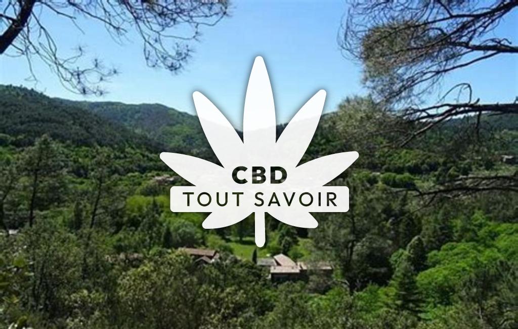 Village à Bordezac avec feuille Cannabis CBD