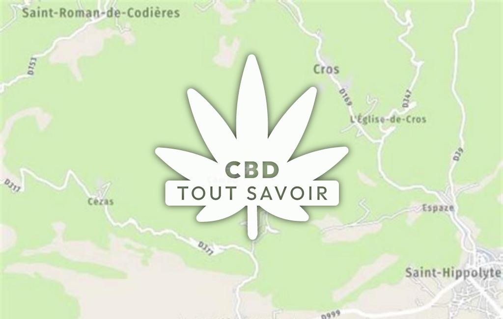Village à La-Cadiere-Et-Cambo avec feuille Cannabis CBD