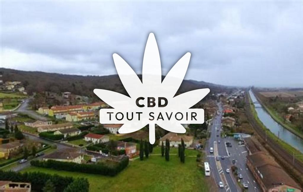Village à Pompignan avec feuille Cannabis CBD