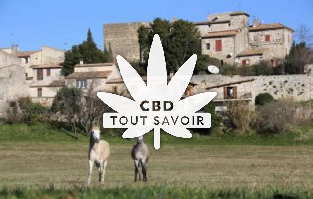 Village à La-Rouviere avec feuille Cannabis CBD