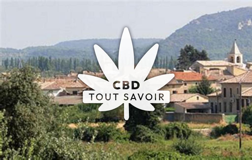 Village à Saint-Etienne-des-Sorts avec feuille Cannabis CBD