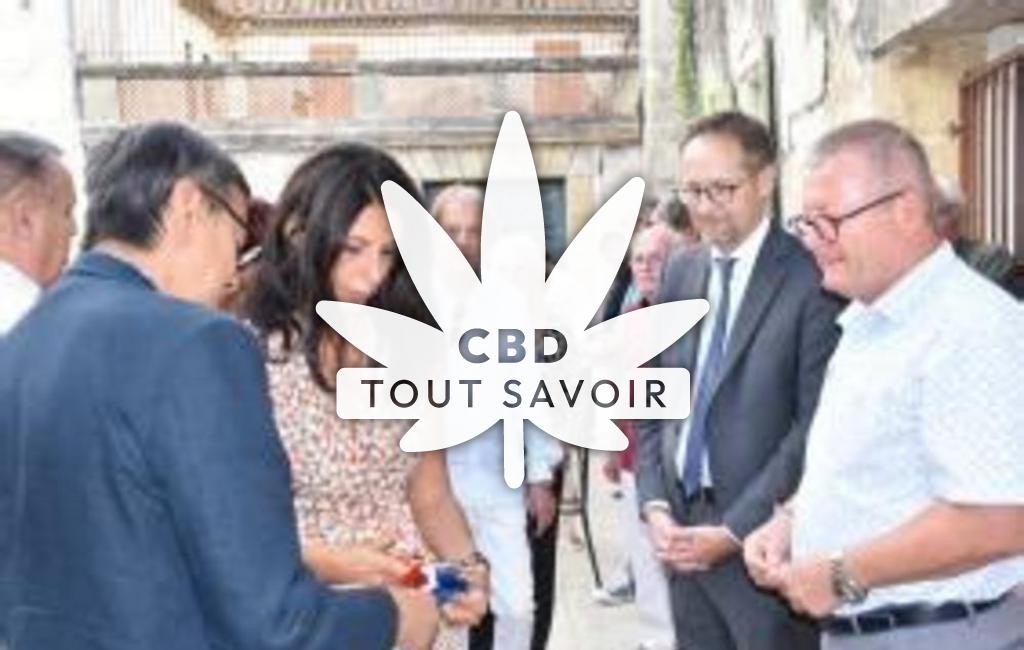 Village à Villevieille avec feuille Cannabis CBD