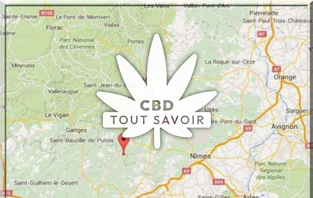Village à Brouzet-les-Quissac avec feuille Cannabis CBD