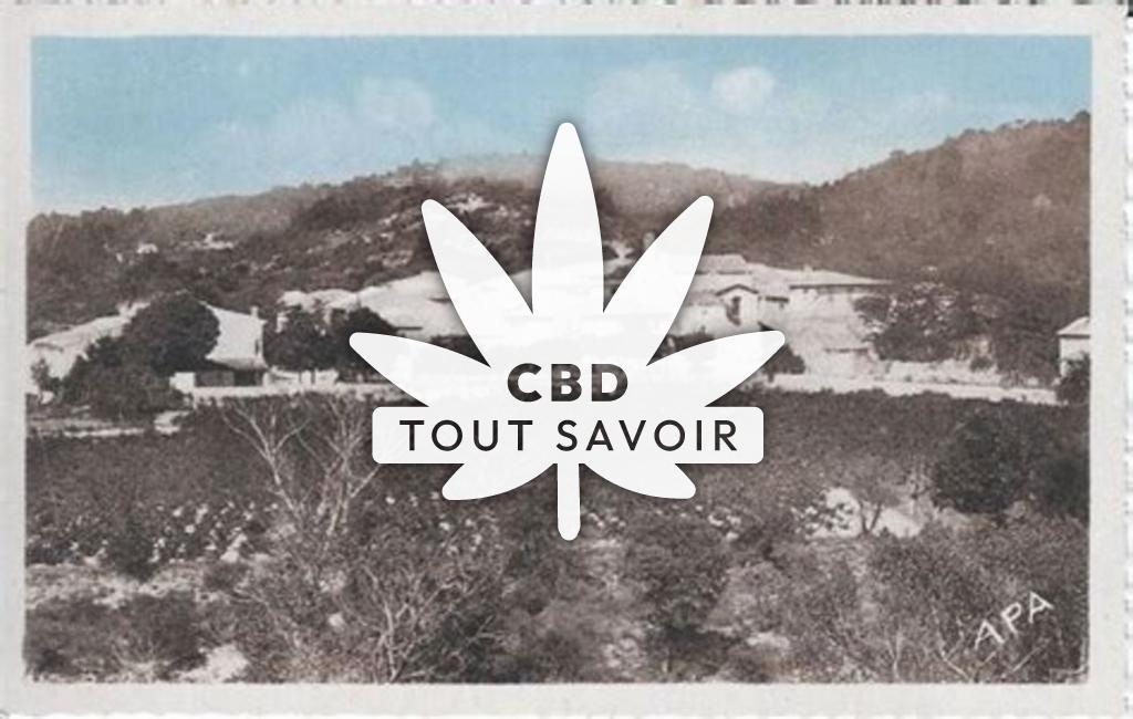 Village à Crespian avec feuille Cannabis CBD