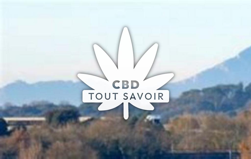Village à Orthoux-Serignac-Quilhan avec feuille Cannabis CBD