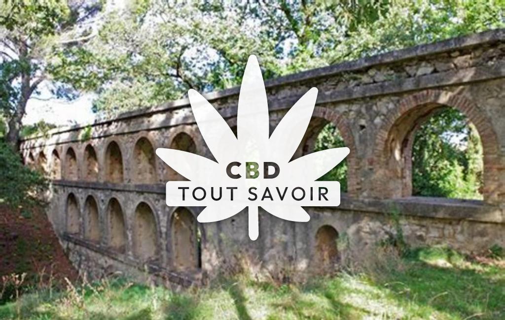 Village à Laudun-l'Ardoise avec feuille Cannabis CBD