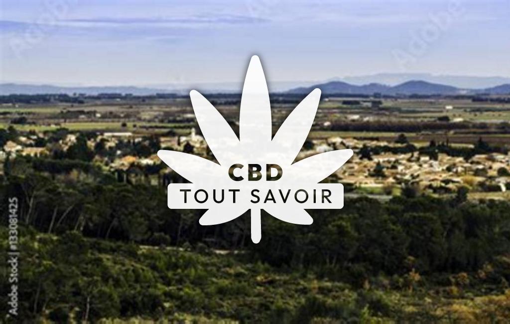 Village à Saint-Gervasy avec feuille Cannabis CBD