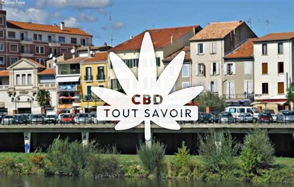 Village à Mejannes-les-Ales avec feuille Cannabis CBD