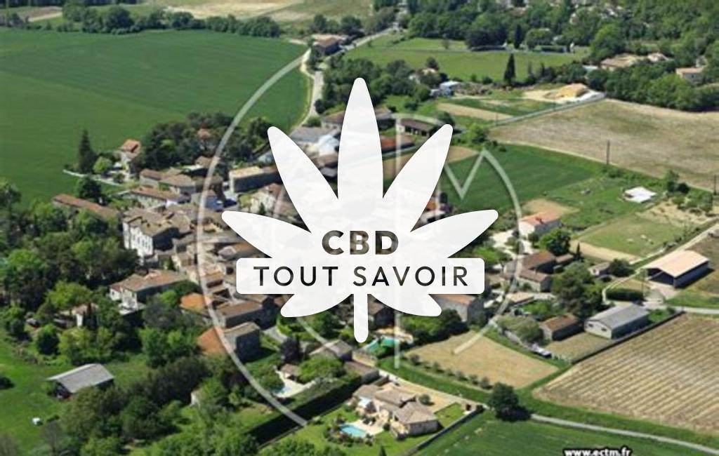 Village à Saint-Hippolyte-de-Caton avec feuille Cannabis CBD