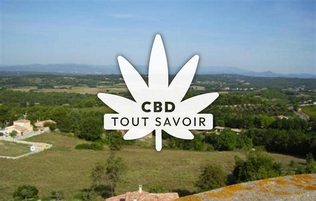 Village à Saint-Jean-de-Ceyrargues avec feuille Cannabis CBD
