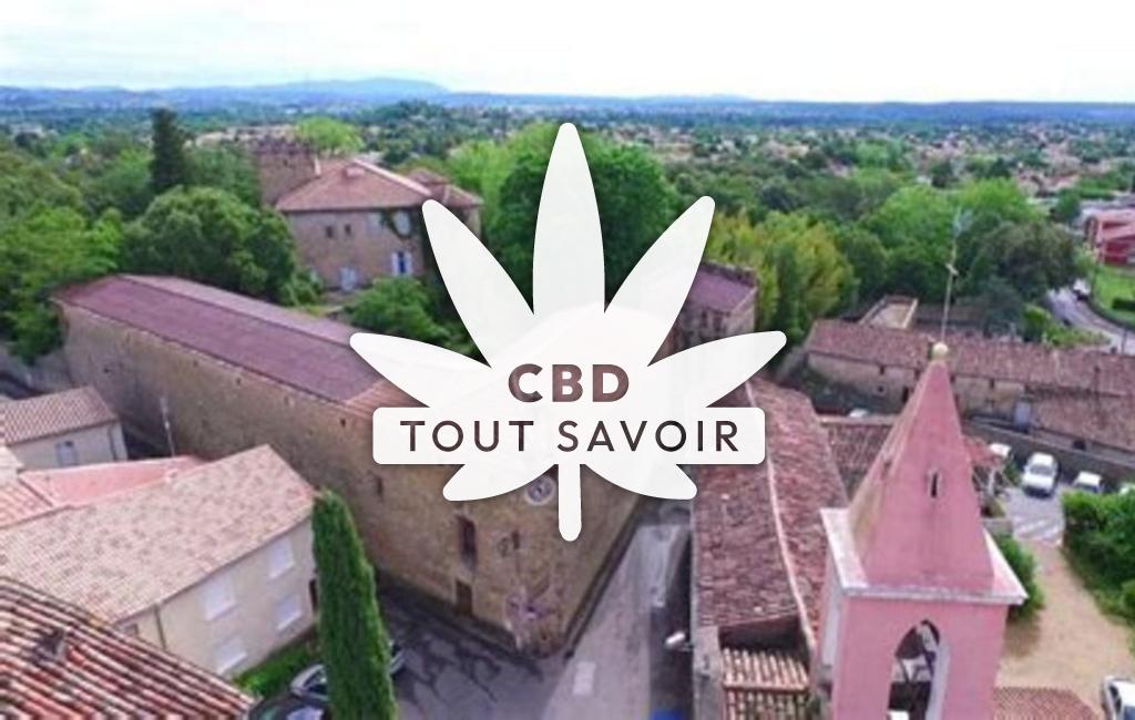 Village à Saint-Christol-Lez-Ales avec feuille Cannabis CBD