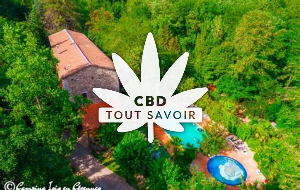 Village à Saint-Julien-de-la-Nef avec feuille Cannabis CBD
