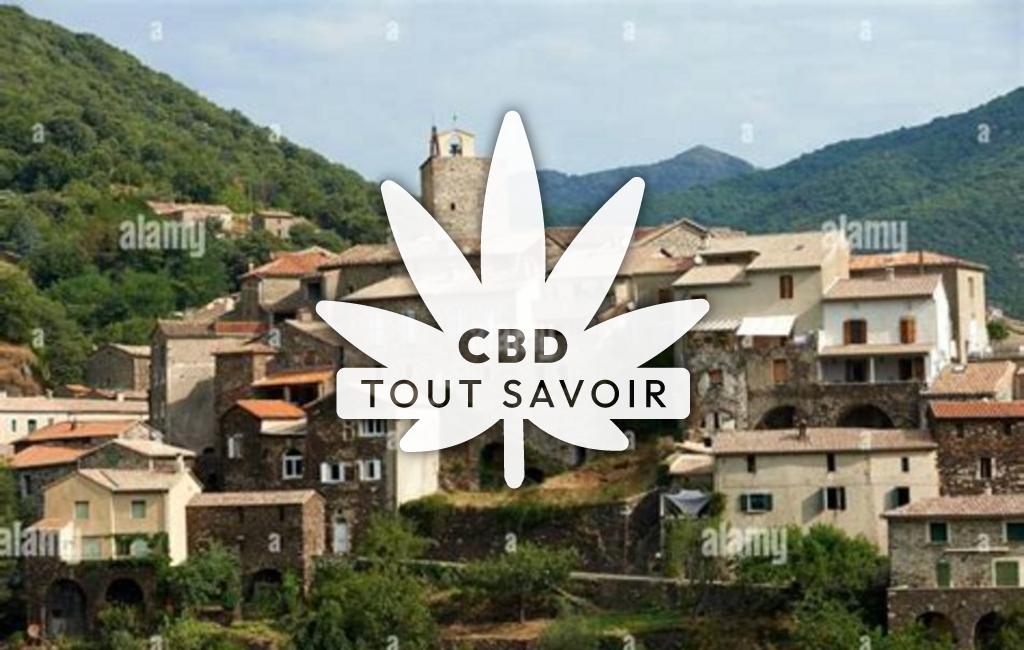 Village à Saint-Martial avec feuille Cannabis CBD