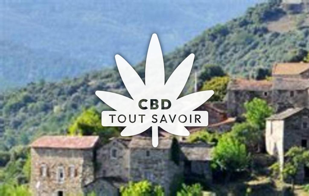 Village à Aujac avec feuille Cannabis CBD