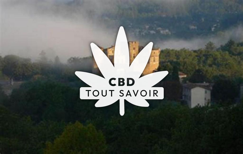 Village à Saint-Bonnet-de-Salendrinque avec feuille Cannabis CBD