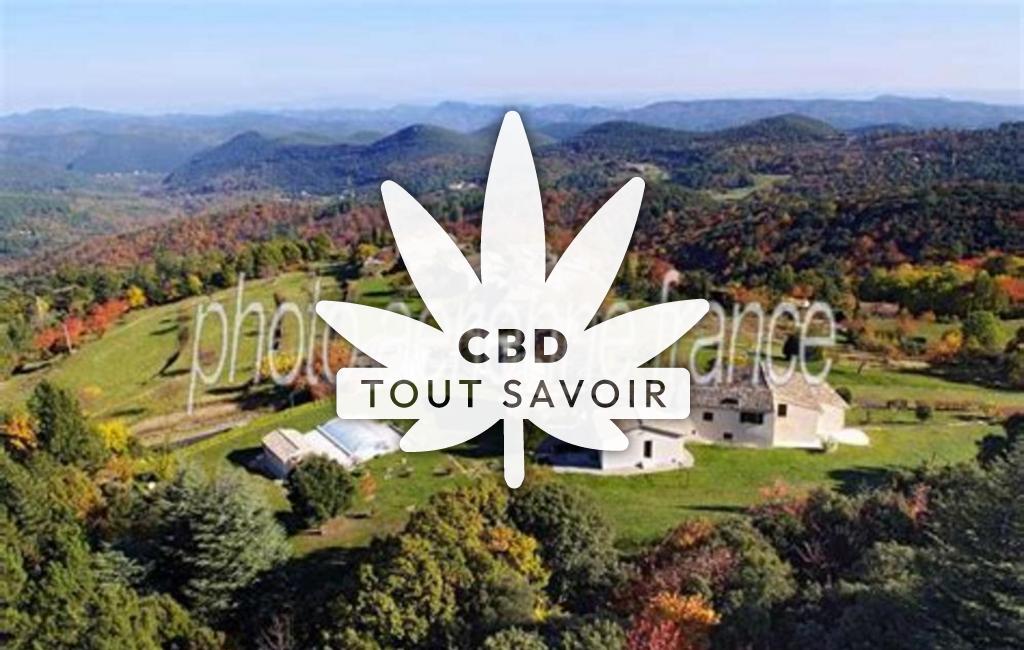Village à Sainte-Croix-de-Caderle avec feuille Cannabis CBD