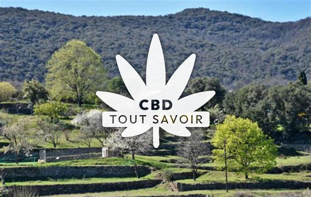 Village à Soudorgues avec feuille Cannabis CBD